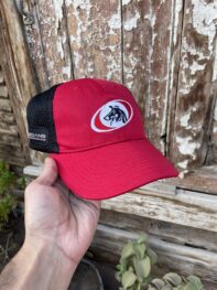 •COLLEGIANS Rugby CAP